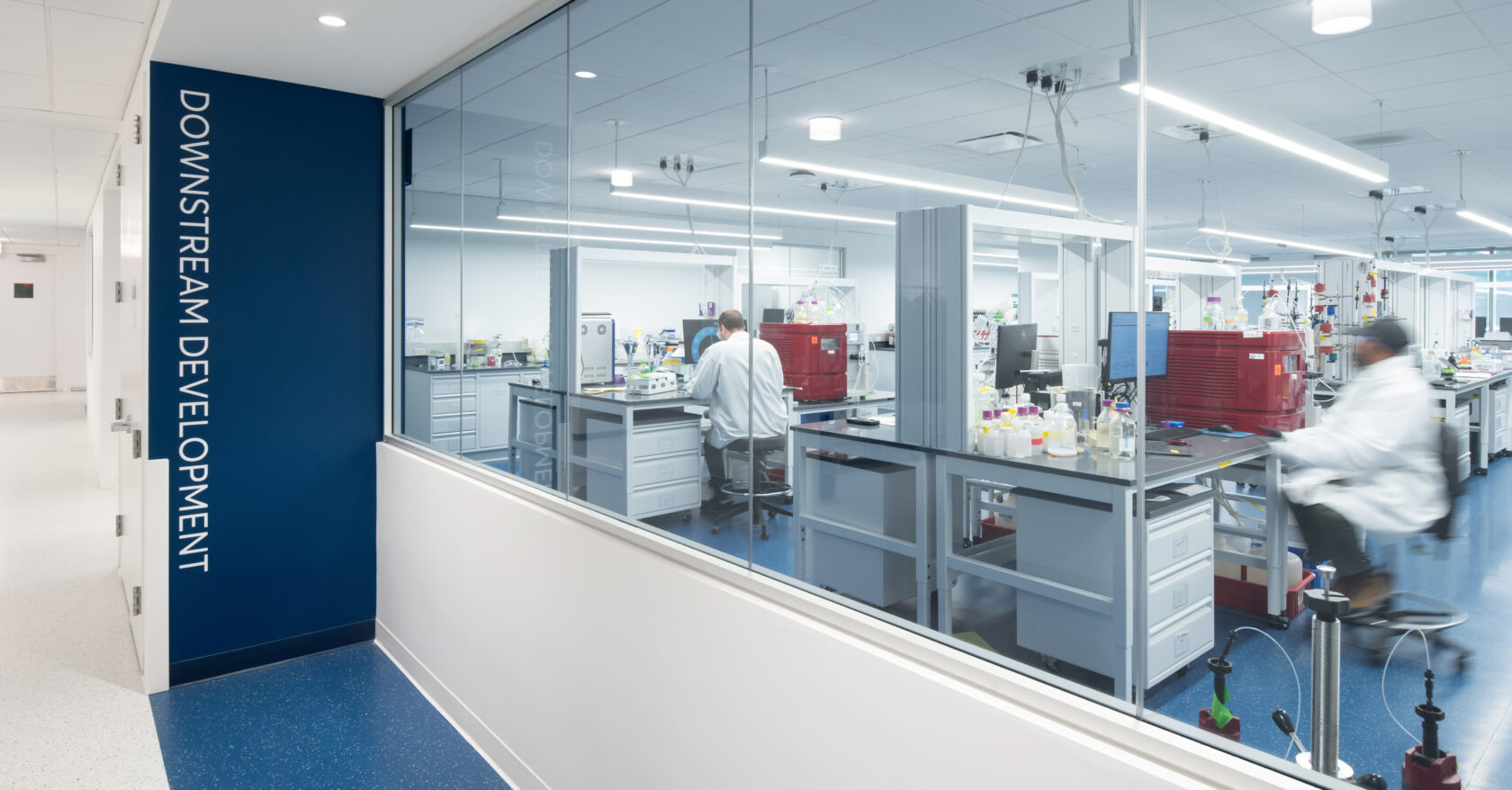 Avantor Lab